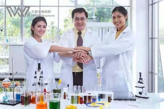 Piracetam Nootropics Bulk Powders Cognitive Enhancer CAS 7491-74-9