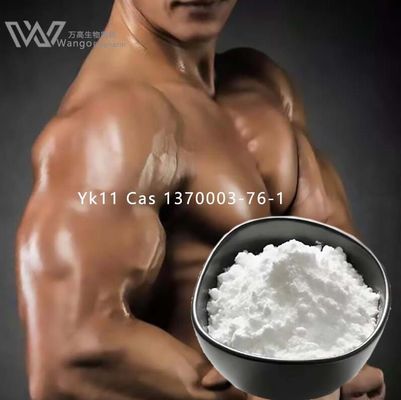 kualitas  Pharma Bodybuilding Your Partner in Achieving Your Bodybuilding Goals with YK-11 pabrik
