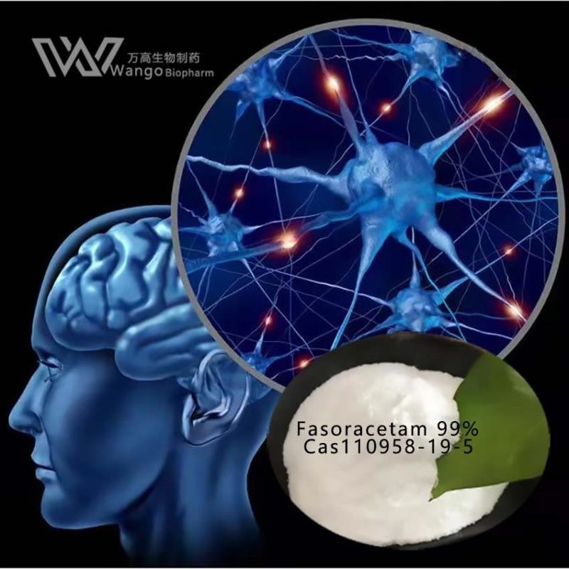 Fasoracetam 99% Nootropics Bulk Powders NS-105 LAM-105 CAS 110958-19-5