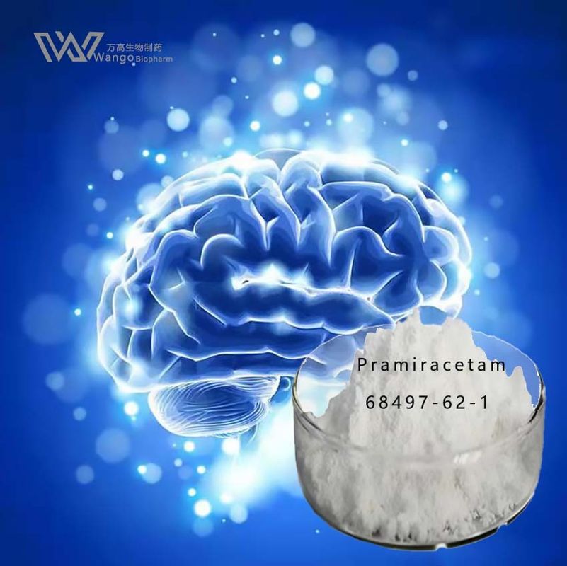 Pramiracetam Powder, How To Take? Recommended Dosage Nootropics