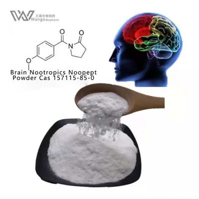 GVS-111 Noopept Oxiracetam White Powder 157115-85-0 Suplemen Peningkat Kognitif