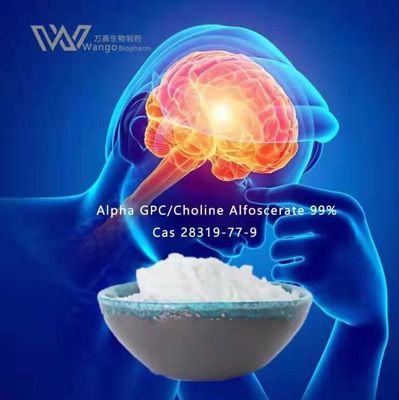 50% 80% Alpha GPC Kolin, Kolin Alfoscerate Powder 28319-77-9
