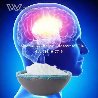 Bubuk Massal Nootropics HPLC, Alpha Gpc Acetylcholine 28319-77-9