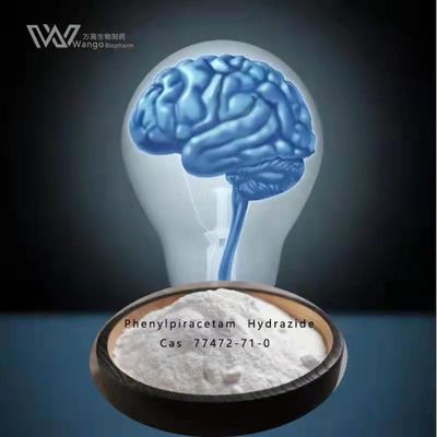Phenylpiracetam Hydrazide Nootropics Bubuk Massal GMP CAS 77472-71-0